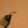BWO 1, Transitional Dun